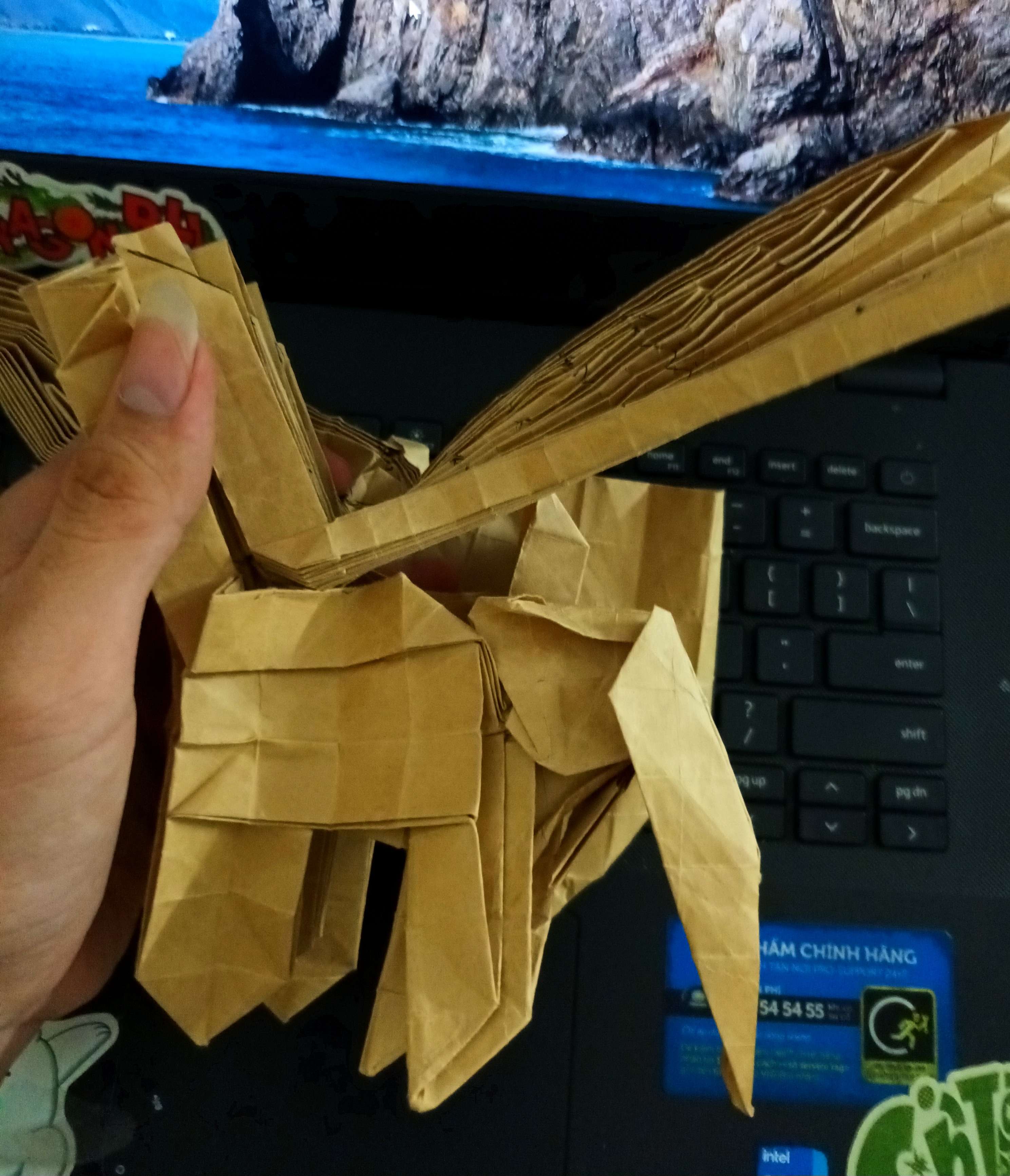The test fold for Hai Ba Trung