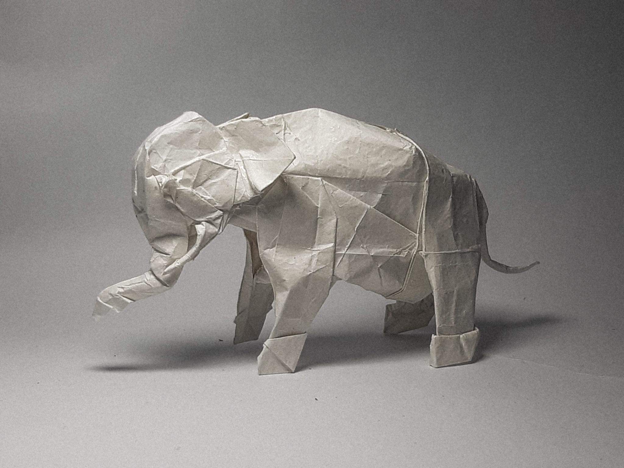 Asian Elephant designed by Shuki Kato