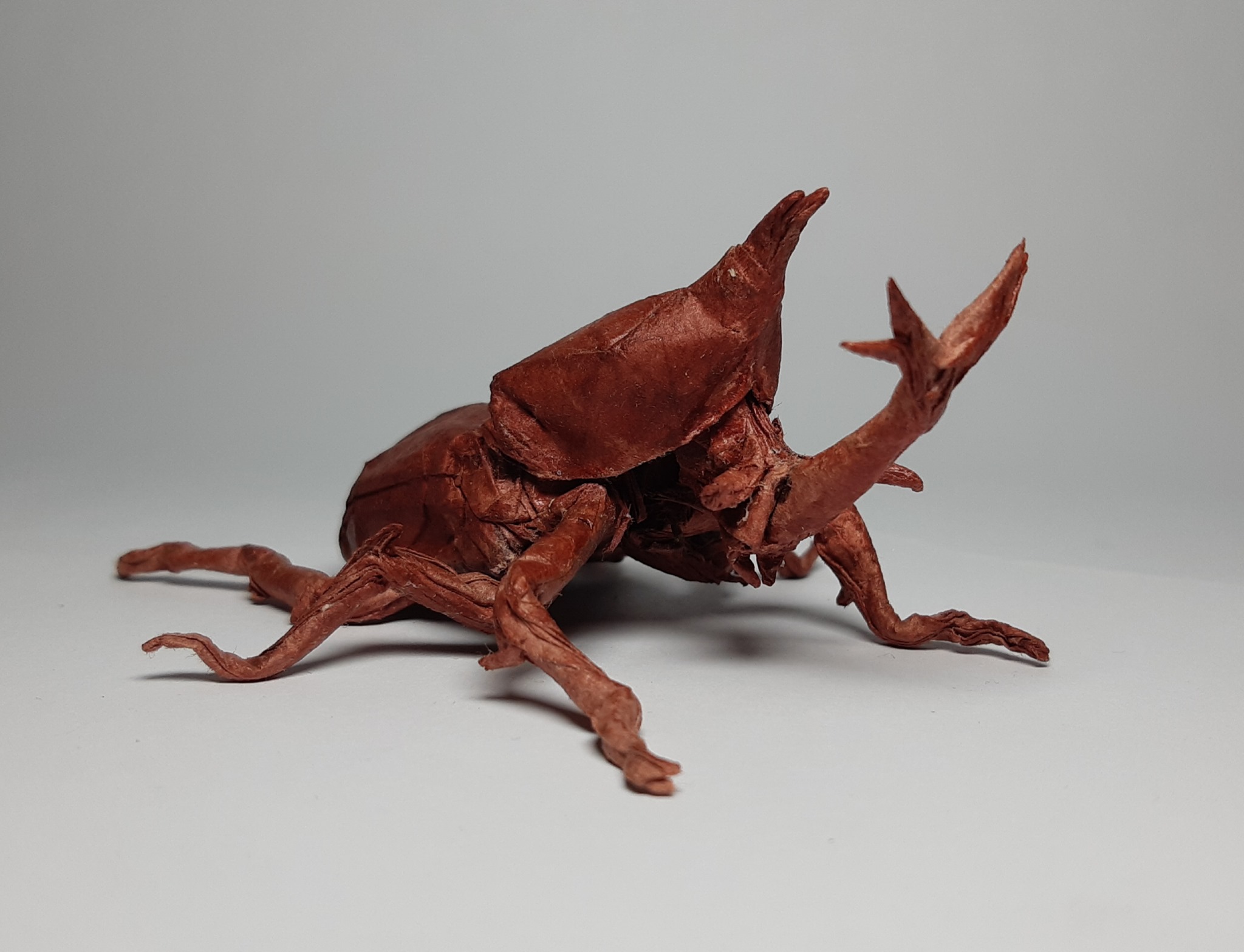 Kabutomushi designed by Kamiya Satoshi